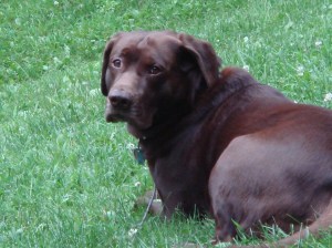 I just heard more thunder mommie...